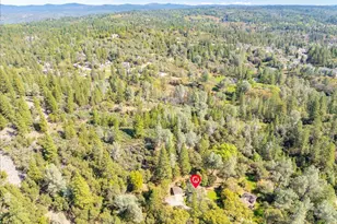 918 Woodpecker Ct, Placerville, CA 95667 - Photo 65