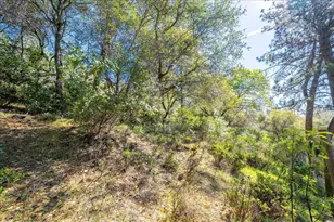 918 Woodpecker Ct, Placerville, CA 95667 - Photo 53