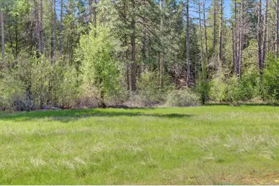 16454 State Highway 49, Camptonville, CA 95922 - Photo 61