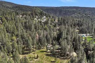 16454 State Hwy 49, Camptonville, CA 95922 - Photo 79