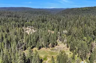 16454 State Hwy 49, Camptonville, CA 95922 - Photo 81