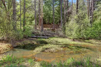 16454 State Highway 49, Camptonville, CA 95922 - Photo 65