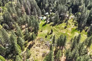 16454 State Hwy 49, Camptonville, CA 95922 - Photo 77