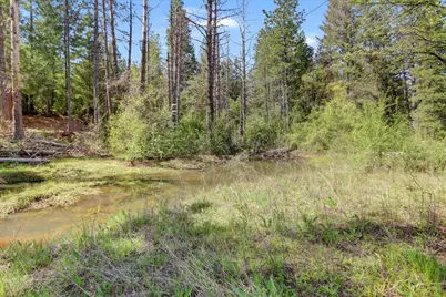 16454 State Highway 49, Camptonville, CA 95922 - Photo 63