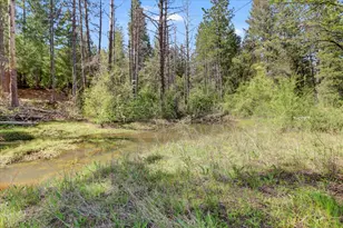 16454 State Hwy 49, Camptonville, CA 95922 - Photo 63