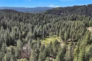 16454 State Hwy 49, Camptonville, CA 95922 - Photo 83