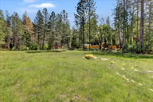 16454 State Hwy 49, Camptonville, CA 95922 - Photo 59