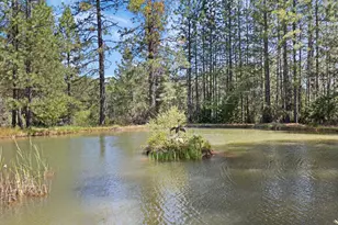 1040 Gladycon Rd, Colfax, CA 95713 - Photo 55