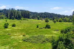 1040 Gladycon Rd, Colfax, CA 95713 - Photo 75