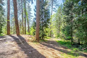 14384 Penn Rd, Grass Valley, CA 95949 - Photo 71