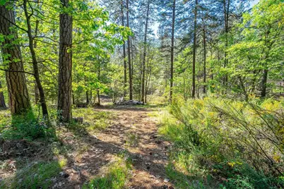 14384 Penn Road, Grass Valley, CA 95949 - Photo 77