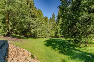 16111 Pioneer Creek Rd, Pioneer, CA 95666 - Photo 47