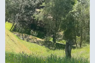 4319 Tomahawk Trail, Copperopolis, CA 95228 - Photo 5