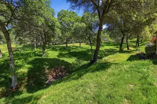 6637 Baralee Ln, Placerville, CA 95667 - Photo 59