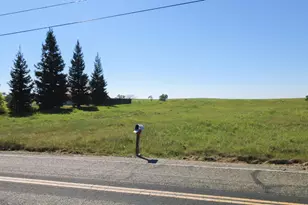 1381 Duck Creek Rd, Ione, CA 95640 - Photo 1