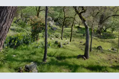 14580 McElroy Road, Auburn, CA 95602 - Photo 37