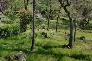 14580 McElroy Rd, Auburn, CA 95602 - Photo 37