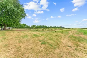 53020 S River Rd, Clarksburg, CA 95612 - Photo 41