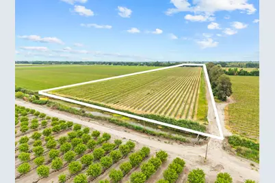 53020 S River Road, Clarksburg, CA 95612 - Photo 3