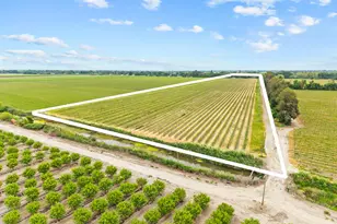 53020 S River Rd, Clarksburg, CA 95612 - Photo 3