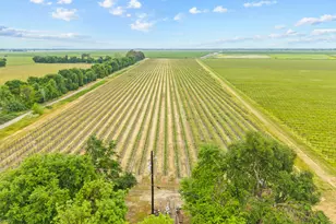 53020 S River Rd, Clarksburg, CA 95612 - Photo 7