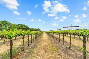 53020 S River Rd, Clarksburg, CA 95612 - Photo 31