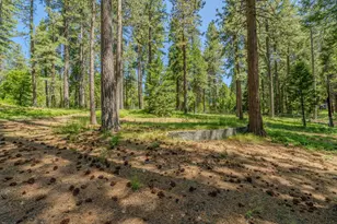 19541 Woodridge Dr, Pioneer, CA 95666 - Photo 7