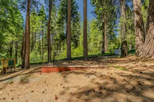 19541 Woodridge Dr, Pioneer, CA 95666 - Photo 9