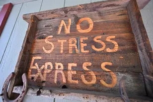 2573 Rose Ave, South Lake Tahoe, CA 96150 - Photo 47