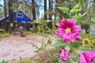 2573 Rose Ave, South Lake Tahoe, CA 96150 - Photo 39