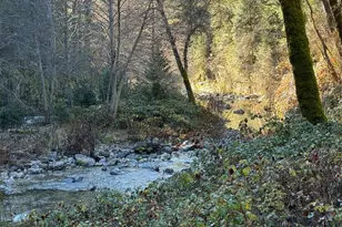 280 Gold Bluff Rd, Downieville, CA 95936 - Photo 43