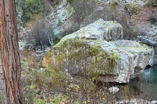 280 Gold Bluff Rd, Downieville, CA 95936 - Photo 45