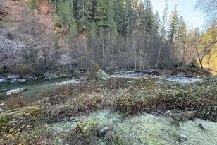 280 Gold Bluff Rd, Downieville, CA 95936 - Photo 7