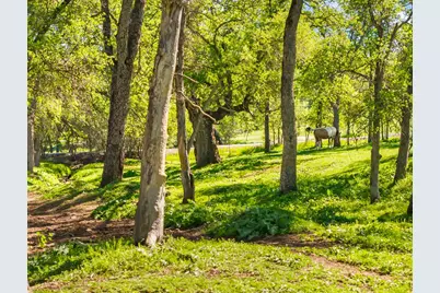 4997 Carbondale Rd, Plymouth, CA 95669 - Photo 5