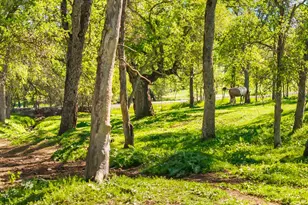 4997 Carbondale Rd, Plymouth, CA 95669 - Photo 5