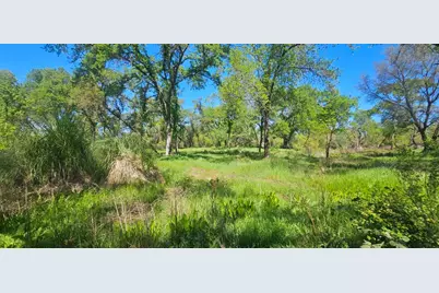 0 Fruitvale Road, Lincoln, CA 95648 - Photo 1