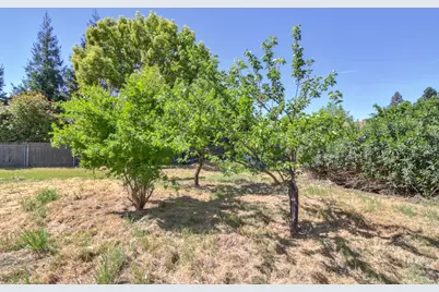 5531 Cypress Avenue, Carmichael, CA 95608 - Photo 39