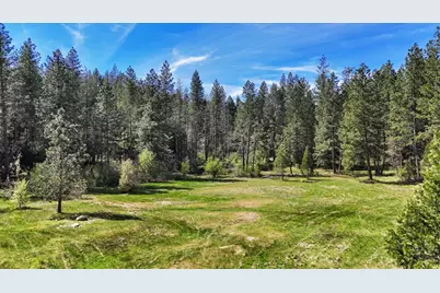 15192 Old Camptonville Road, Camptonville, CA 95922 - Photo 87