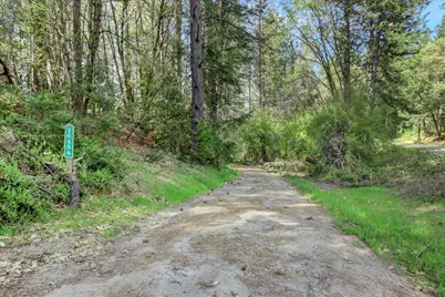 15192 Old Camptonville Road, Camptonville, CA 95922 - Photo 75