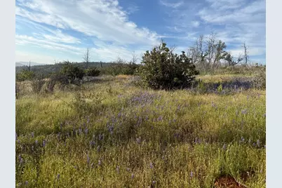 0 Troost Trail, North San Juan, CA 95960 - Photo 41