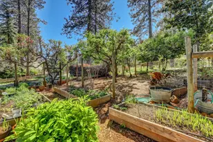 17682 Alexandra Way, Grass Valley, CA 95949 - Photo 49