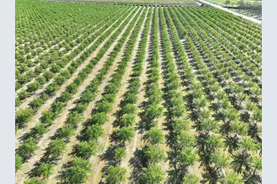 2301 O Banion Road, Yuba City, CA 95993 - Photo 7