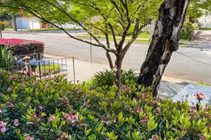 360 Vernon St, Oakland, CA 94610 - Photo 27