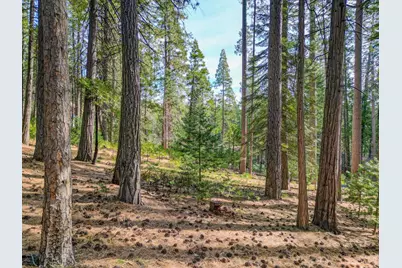 2625 Linnet Lane, Arnold, CA 95223 - Photo 1