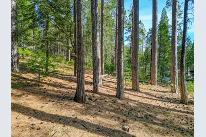 2625 Linnet Lane, Arnold, CA 95223 - Photo 3