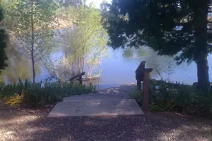 1172 Hodson Rd, Copperopolis, CA 95228 - Photo 87