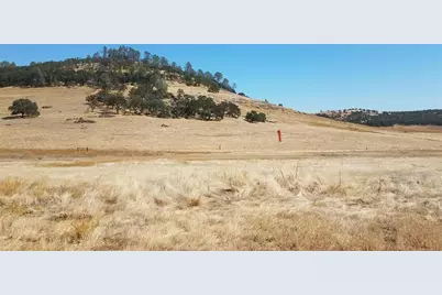 1172 Hodson Road, Copperopolis, CA 95228 - Photo 49