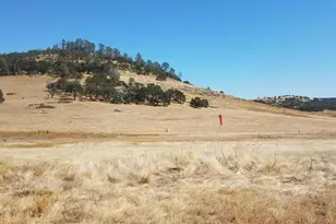 1172 Hodson Rd, Copperopolis, CA 95228 - Photo 49