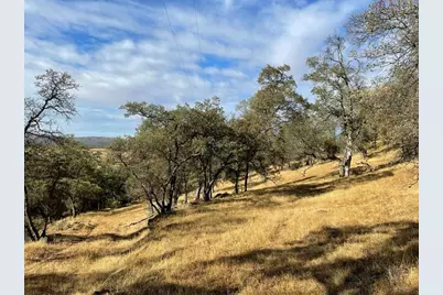 1172 Hodson Road, Copperopolis, CA 95228 - Photo 91