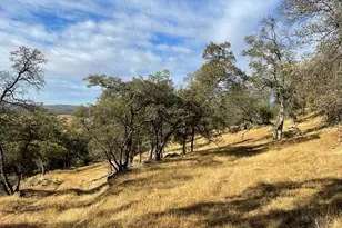 1172 Hodson Rd, Copperopolis, CA 95228 - Photo 91